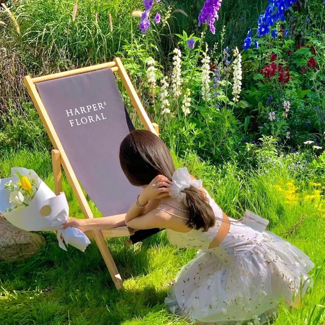 冰海战记第二季 海报